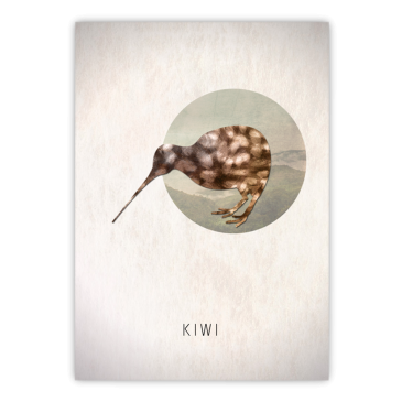 Bure kiwi