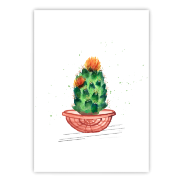 Malowany kaktus