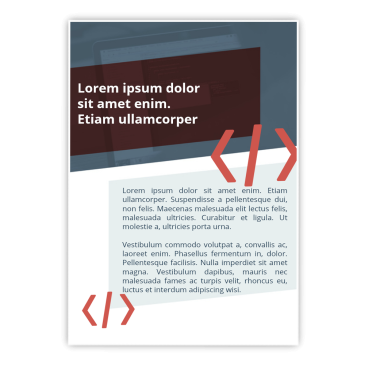 Programista